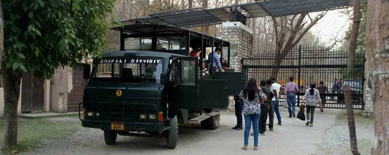 Things to know about canter safari in Jim corbett safari