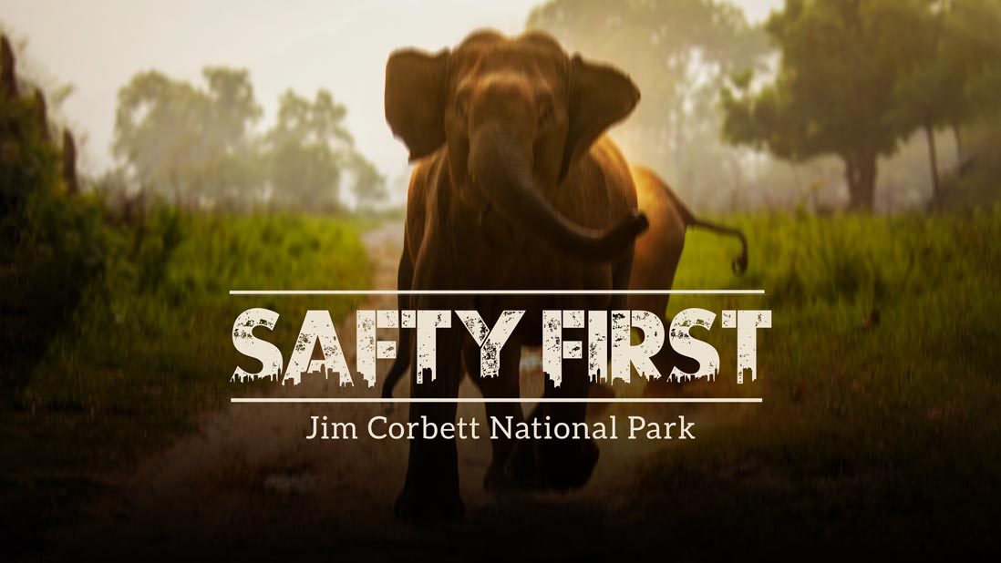 Safety First: Guidelines and Tips for a Safe Jim Corbett Jungle Safari