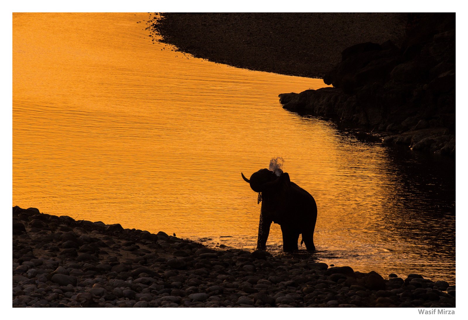 Jim Corbett Safari Zones &amp; Gates Guide: Bijrani, Jhirna, and Durga Devi Explained