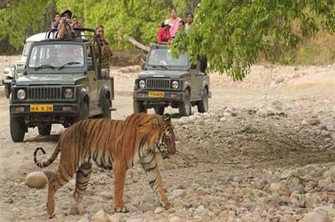 corbett jeep safari